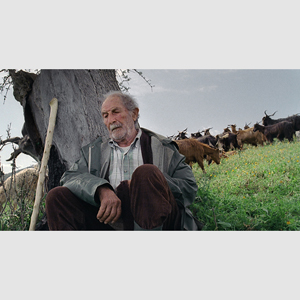 【絶版希少品】あいちトリエンナーレ2013公式カタログ あいちトリエンナーレ2013公式グッズ | STANDS ARCHITECTS |愛知